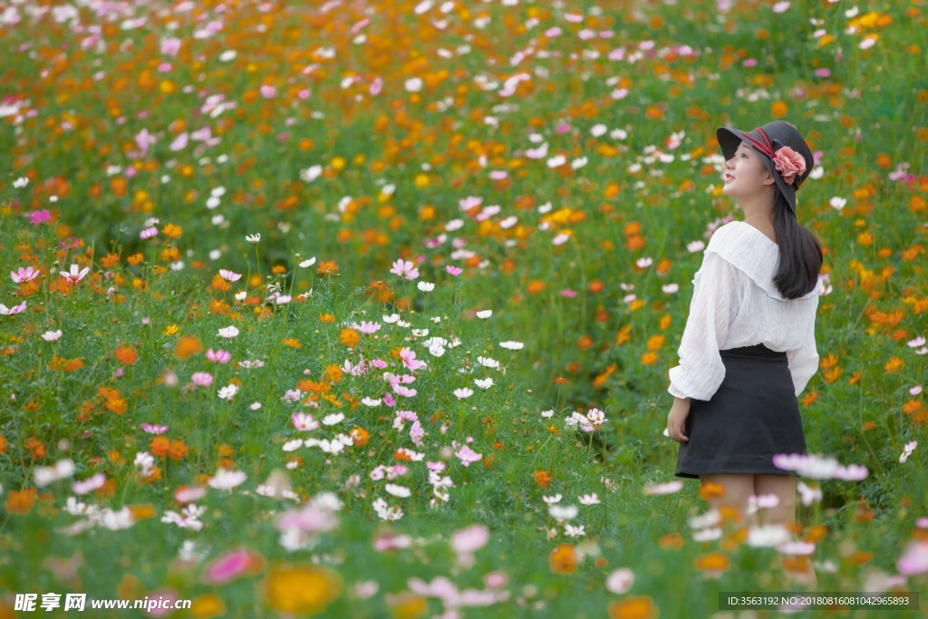 花海回眸