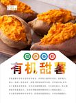 红薯海报