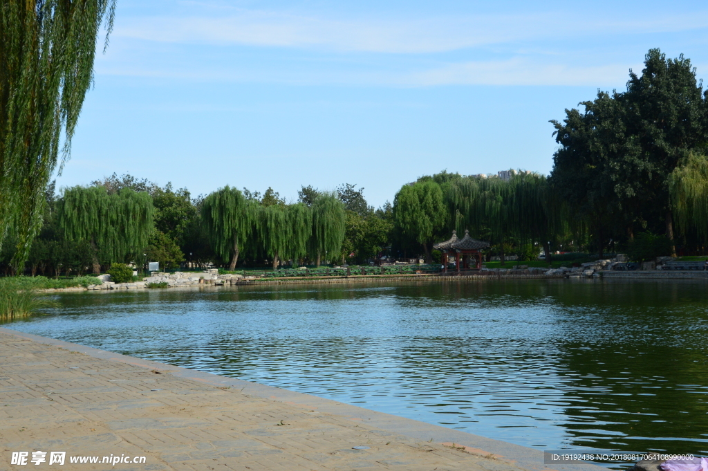 陶然亭风景