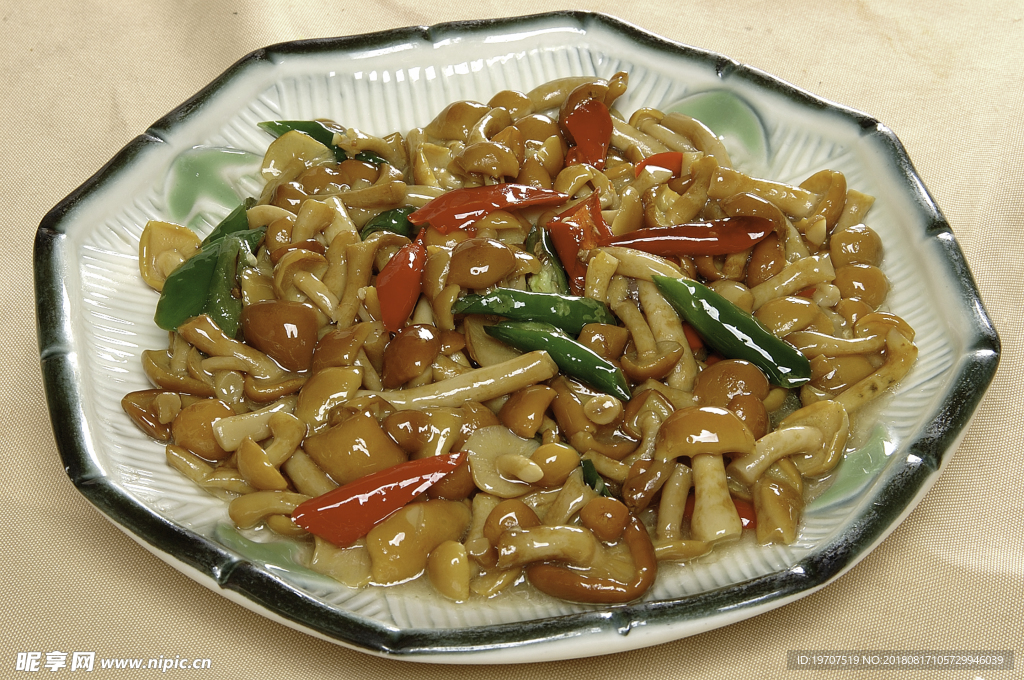 珍珠菌