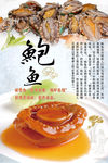鲍鱼