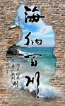 创意海南百川石墙玄关屏风背景底