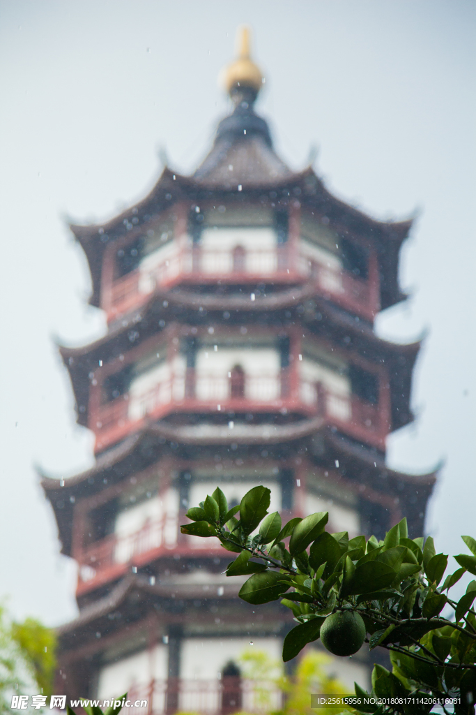 绳金塔