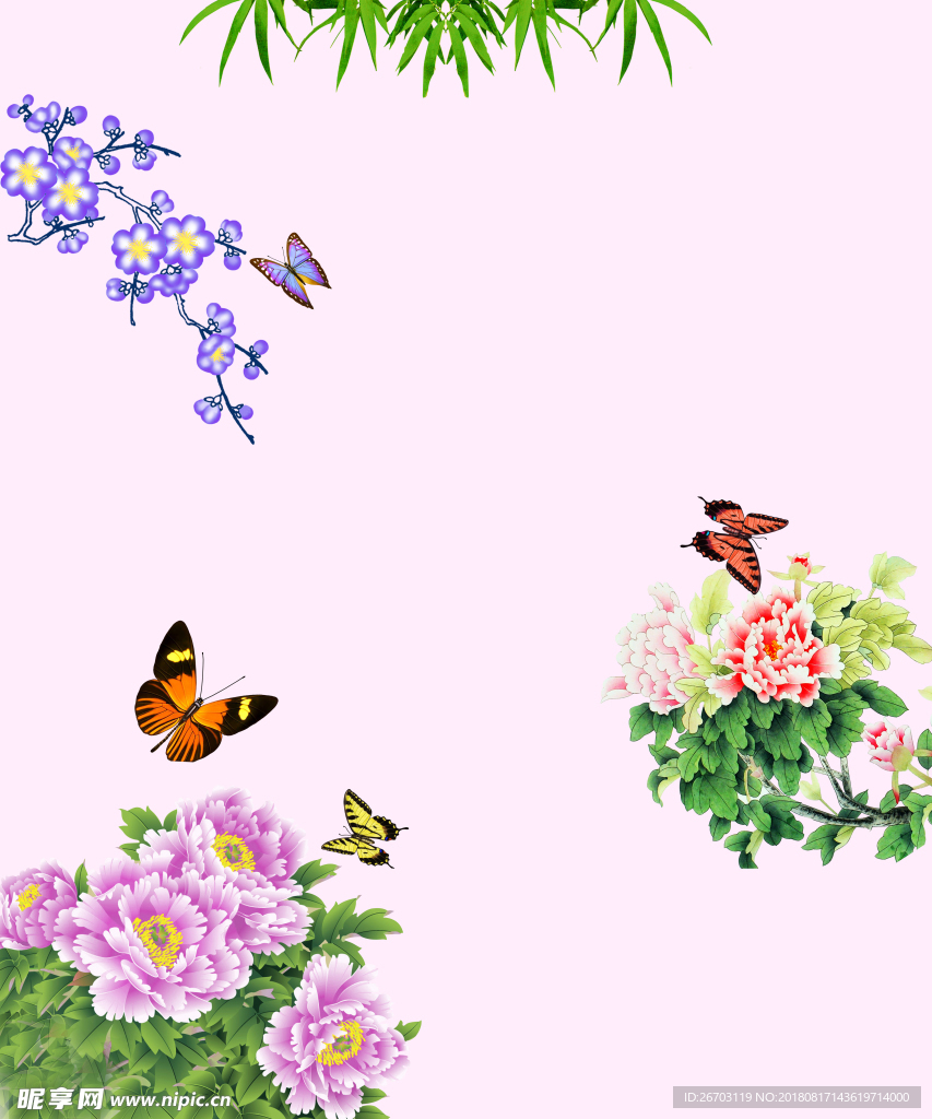 牡丹