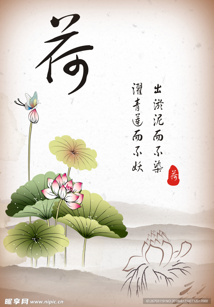 荷花