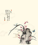 兰花
