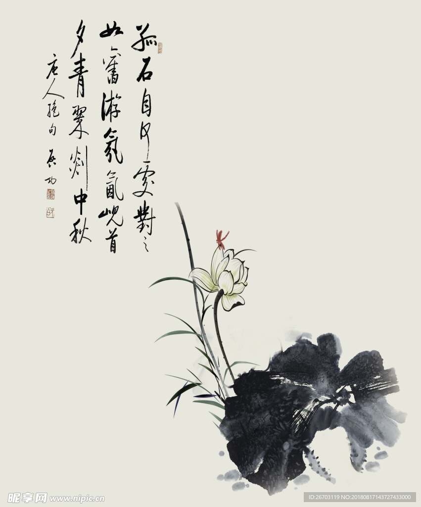 荷花