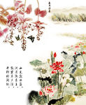花朵