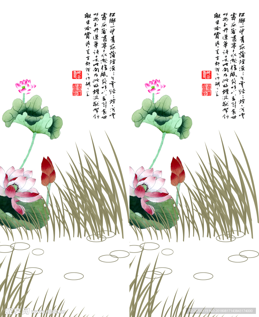 荷花