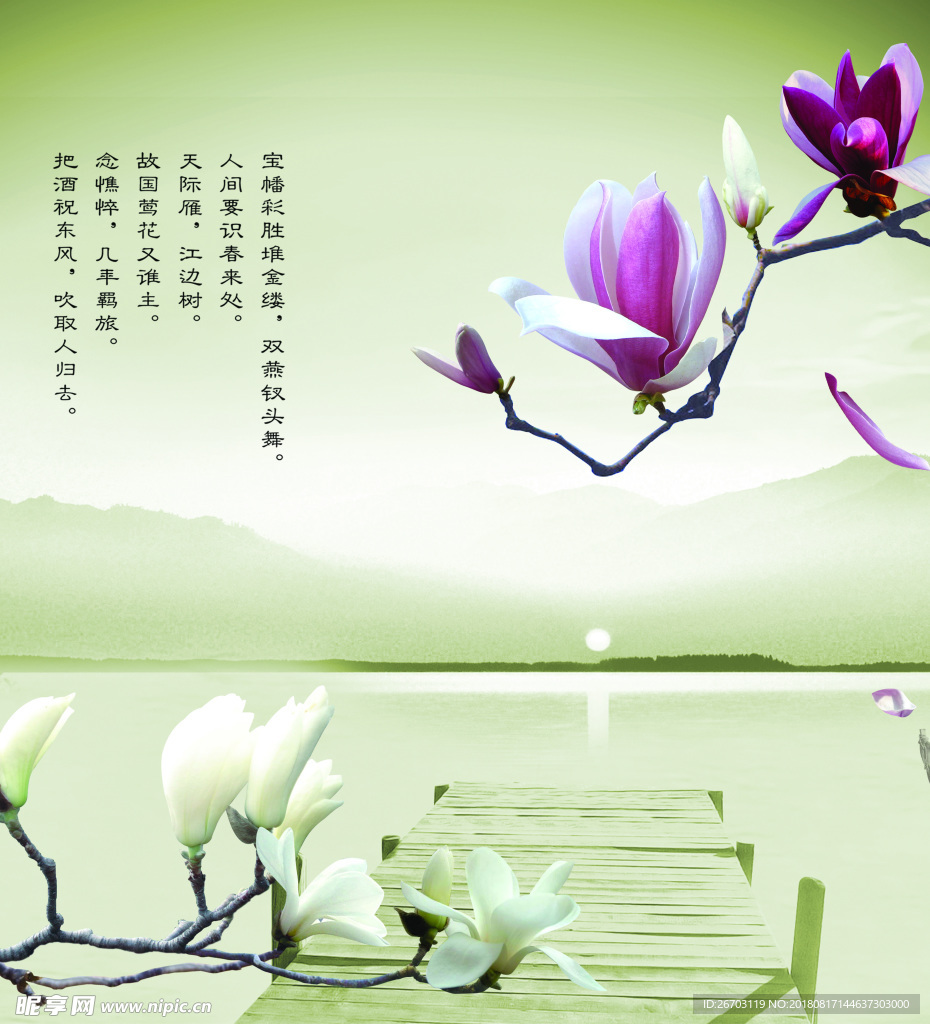 玉兰
