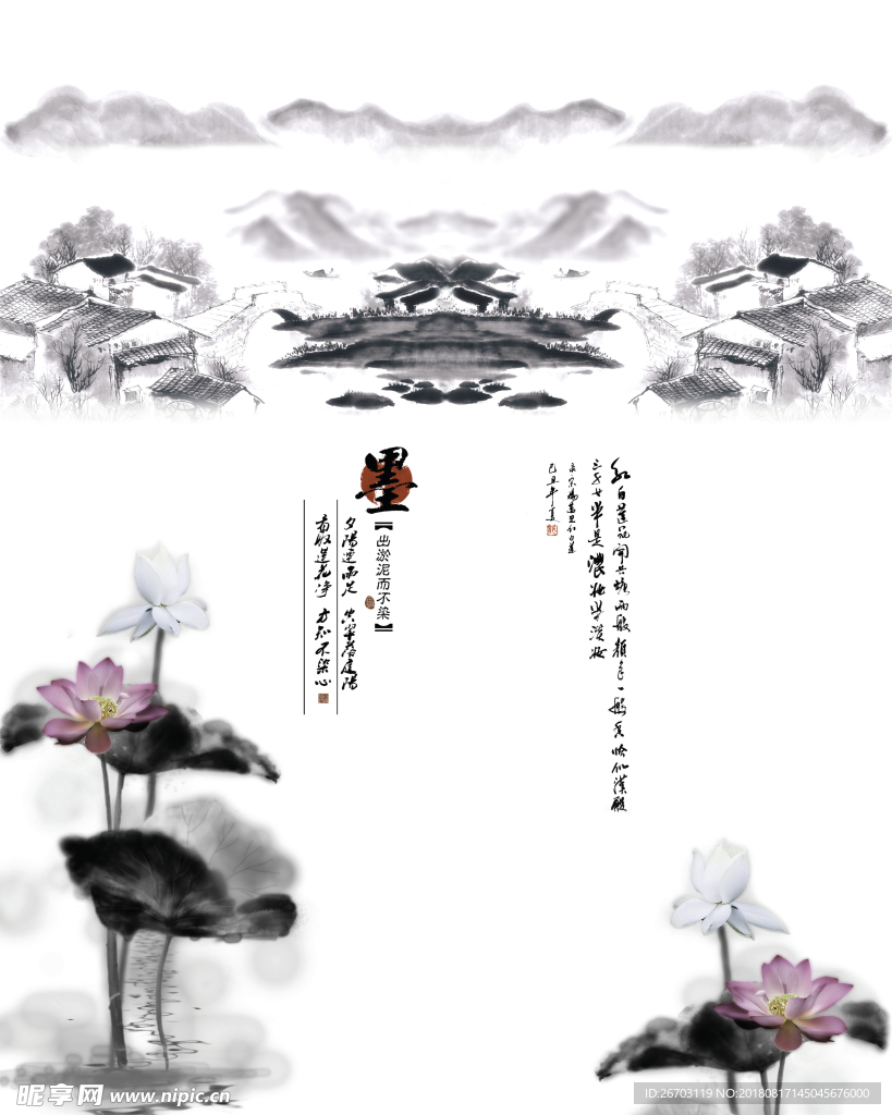 荷花