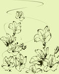 花纹