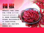 辣椒