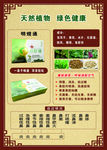中药材海报