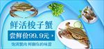 生鲜海鲜梭子蟹banner