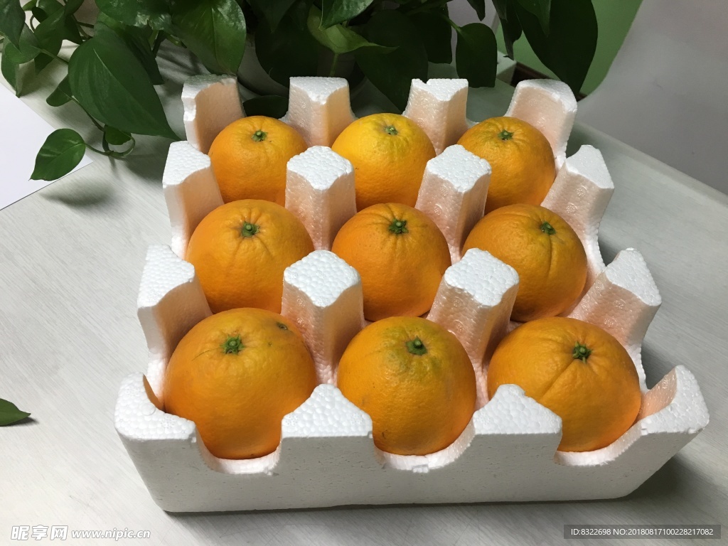金堂脐橙  橙子内包装 泡沫箱