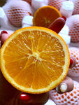 金堂脐橙   新鲜水果 鲜果