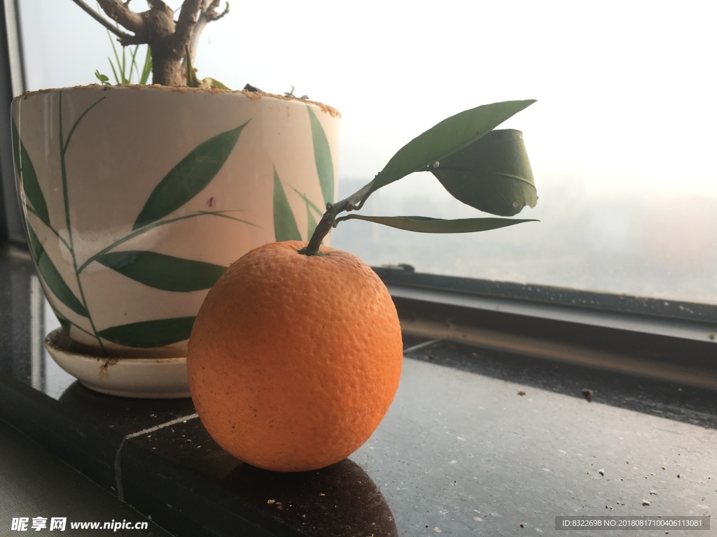 金堂脐橙 脐橙特写 橙子 橙