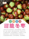 冬枣海报