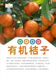 桔子海报
