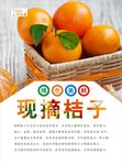 桔子海报