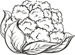 手绘蔬菜系列