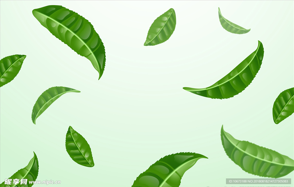 矢量绿色背景