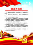 党员的权利