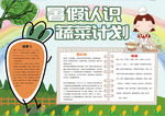 暑假小报