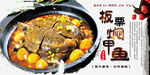 板栗焖甲鱼