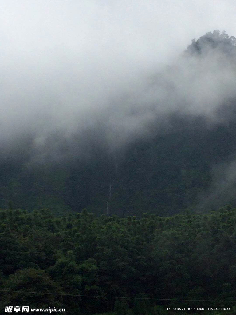 云雾