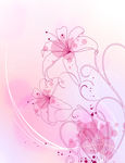 花纹