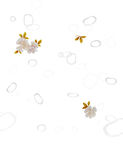 花纹