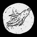 矢量人参标EPS分层