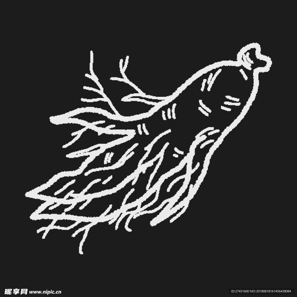 矢量人参EPS分层