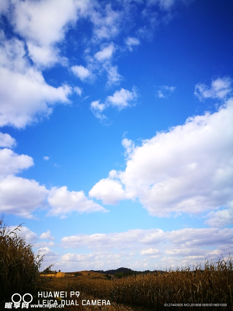 深秋