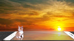 夕阳