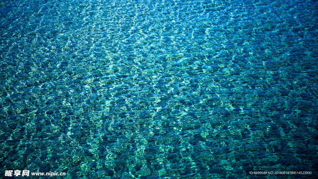 大海 浪花 海边 海浪 海水