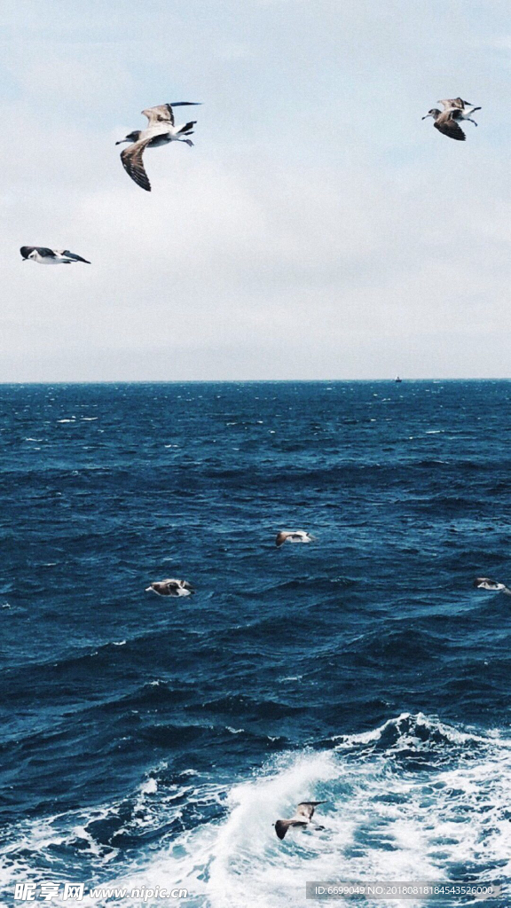 大海 浪花 海边 海浪 海水
