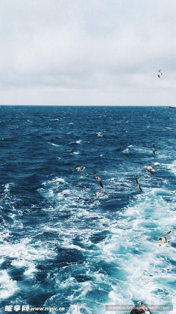 大海 浪花 海边 海浪 海水