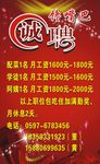诚聘 招聘广告
