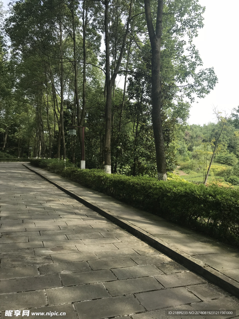 道路