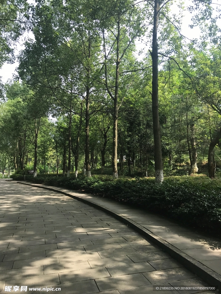 道路