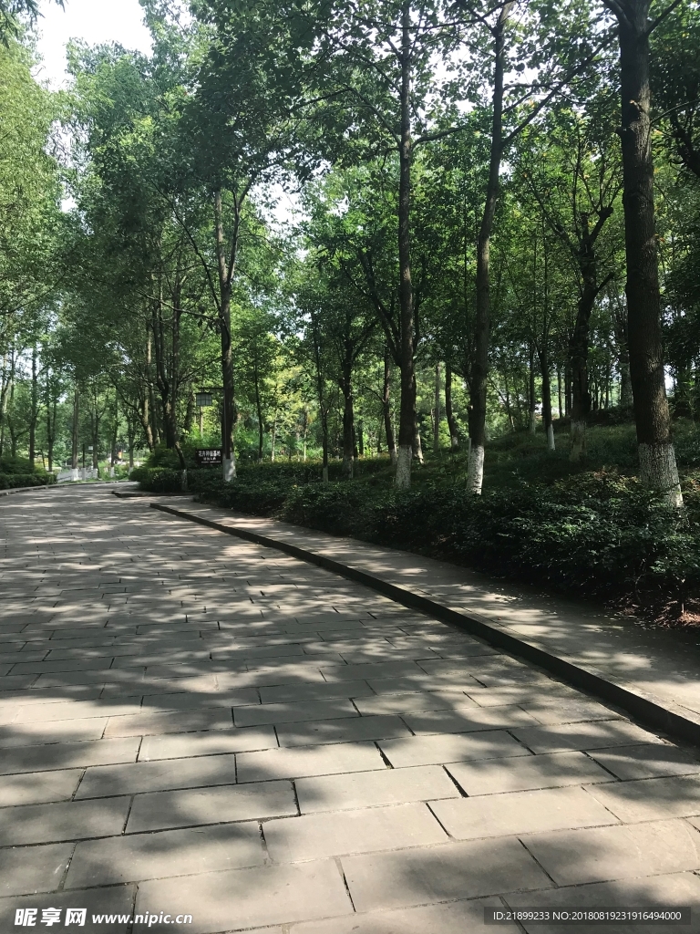 道路
