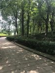 道路