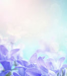 花纹
