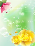 气泡  花纹