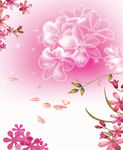 花纹