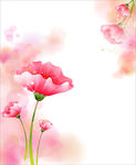花纹