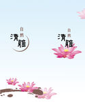 清雅